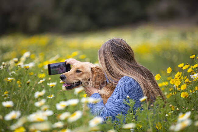 Espagne, Majorque, Femme avec Golden Retriever prendre selfie dans prairie en fleurs — Photo de stock