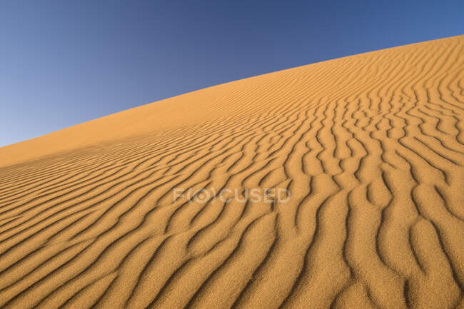 Marokko, Wellenförmiger Sand von Erg Chigaga in der Sahara — Stockfoto