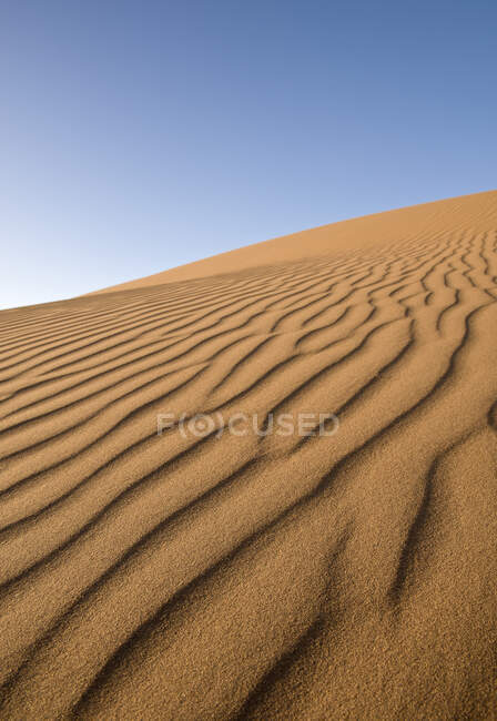 Моро, рябь песка Эрга Чигага на пустыре Фара — стоковое фото