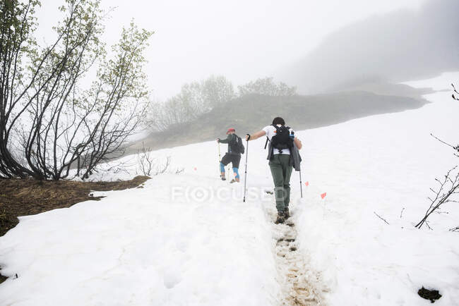 USA, Alaska, Rückansicht von Wanderern auf schneebedecktem Feld im Denali-Nationalpark — Stockfoto