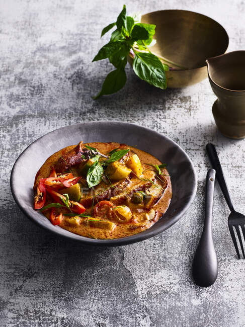 Gaeng Dang Bped - red curry with duck meat — Stock Photo