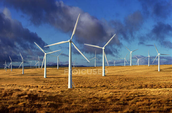 UK, Wales, Powys, Wind turbines in field — Stock Photo