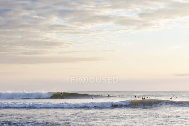 Estados Unidos, California, Montara, Vista trasera del surfista en la playa - foto de stock
