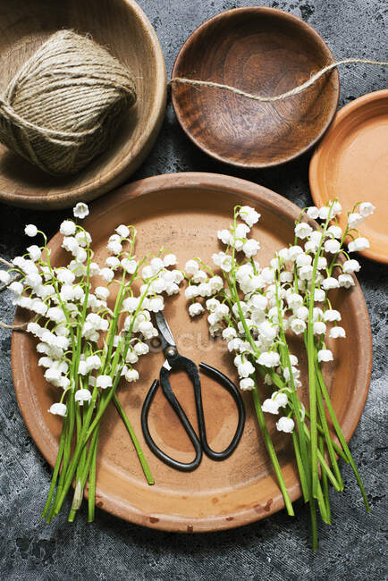 Studio shot of lilies of the valley on terracotta plate — Stock Photo