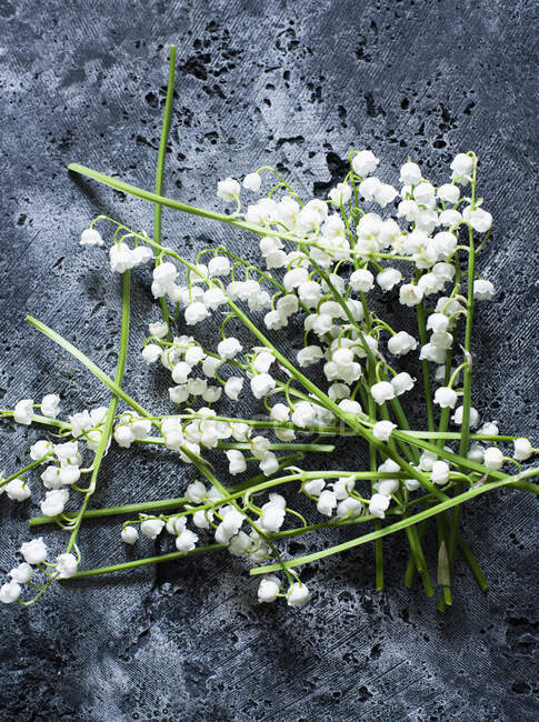 Studio shot of lilies of the valley on stone surface — Stock Photo