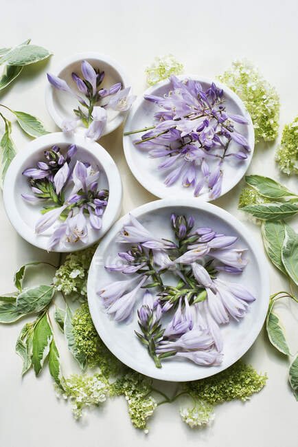 Студийный снимок весенних цветов и керамических чаш — стоковое фото