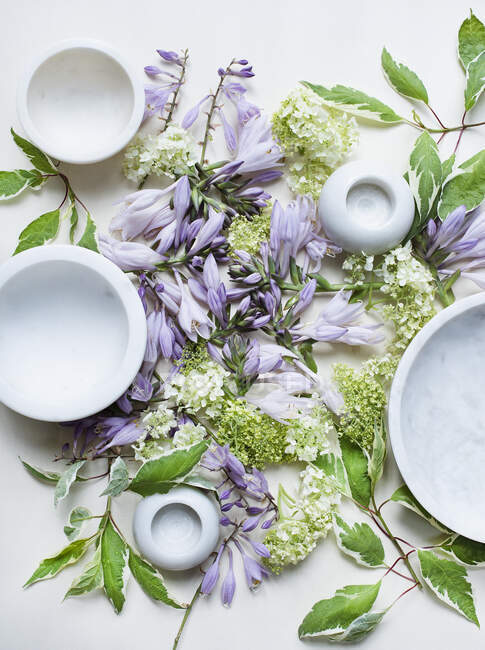 Studio shot di fiori primaverili e ciotole in ceramica — Foto stock