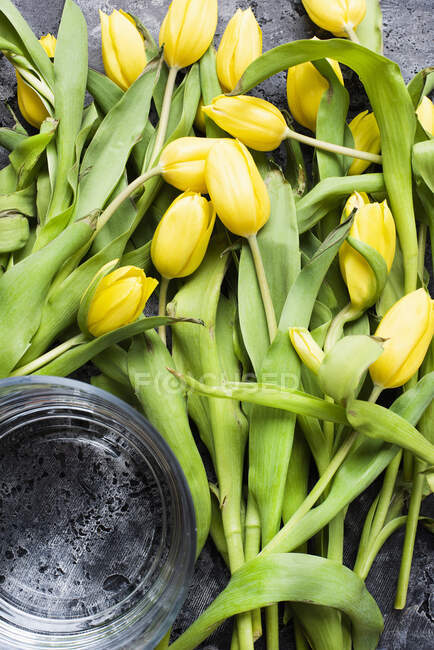 Studioaufnahme von gelben Tulpen und Vase auf Steinoberfläche — Stockfoto