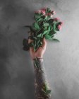 Female hand holding pink roses — Stock Photo