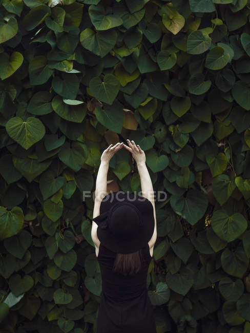 Frau mit schwarzem Hut streckt sich bis zu den Blättern — Stockfoto