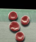Células sanguíneas humanas — Fotografia de Stock