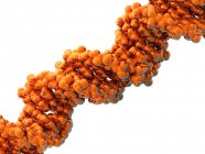 Modelo molecular de ADN - foto de stock