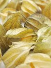 Close-up view of physalis fruit. — Stock Photo