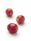Close-up view of cranberries on white background. — Stock Photo