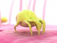 House dust mite on human skin — Stock Photo