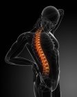 Back pain localisation in spinal section — Stock Photo