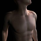 Male torso, computer artwork. — Stock Photo