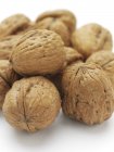 Close-up view of walnuts on white background. — Stock Photo