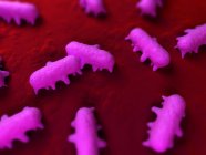 Salmonella sp. bacterias en la superficie del tejido - foto de stock