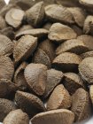 Close-up view of brazil nuts on white table. — Stock Photo