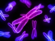 Хромосоми під час поділу клітин — стокове фото
