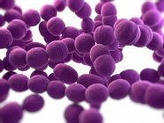 Struttura dei batteri Streptococcus — Foto stock