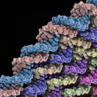 Молекулярні моделі ДНК — стокове фото