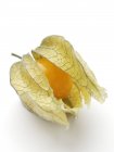 Vue rapprochée de physalis fruit . — Photo de stock