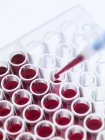 Blood samples in test tubes — Stock Photo