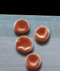Красные кровавые клетки — стоковое фото