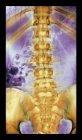 Coluna vertebral normal e saudável — Fotografia de Stock