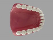 Dents humaines saines — Photo de stock