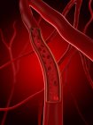 Red blood cells in an artery — Stock Photo