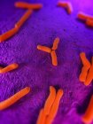 Cellule batteriche sulla superficie del tessuto — Foto stock