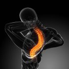 Localización del dolor de espalda - foto de stock