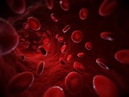 Red blood cells in a blood vessel — Stock Photo