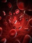 Glóbulos vermelhos num vaso sanguíneo — Fotografia de Stock