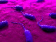 Растущая колония бактерий — стоковое фото