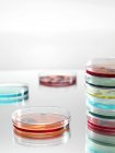 Petrischalen mit bunten Flüssigkeiten für die mikrobiologische Forschung. — Stockfoto