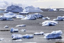 Vista panorámica del iceberg oceánico en la Antártida . - foto de stock