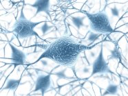 Neuronales Netzwerk mit synaptischen Terminals — Stockfoto