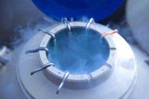 Almacenamiento criogénico de óvulos humanos para la fertilización in vitro  . - foto de stock