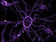 Нервные клетки и аксоны — стоковое фото