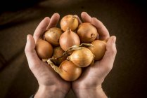 Person holding brown onions in hands. — Stock Photo