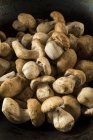 Close-up view of cep mushrooms. — Stock Photo