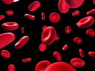 Glóbulos rojos normales - foto de stock
