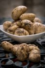 Свежесобранный картофель — стоковое фото