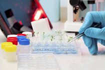 Close-up of scientist planting seedlings into test tubes. — Stock Photo