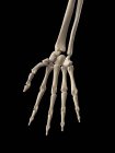 Estrutura esquelética do braço humano — Fotografia de Stock