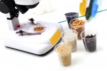 Rice and corn in containers with laboratory equipment for food research. — Stock Photo